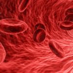 80-Fakten-zum-menschlichen-Blut-Bestandteile-Wussten-Sie