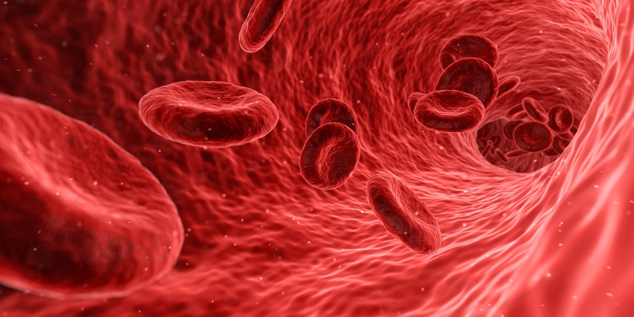 80-Fakten-zum-menschlichen-Blut-Bestandteile-Wussten-Sie