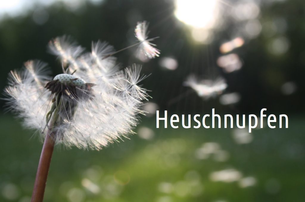 Heuschnupfen - Ursachen, Symptome und Behandlung