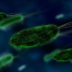 Einige Viren produzieren insulinähnliche Hormone, die Krankheiten verursachen
