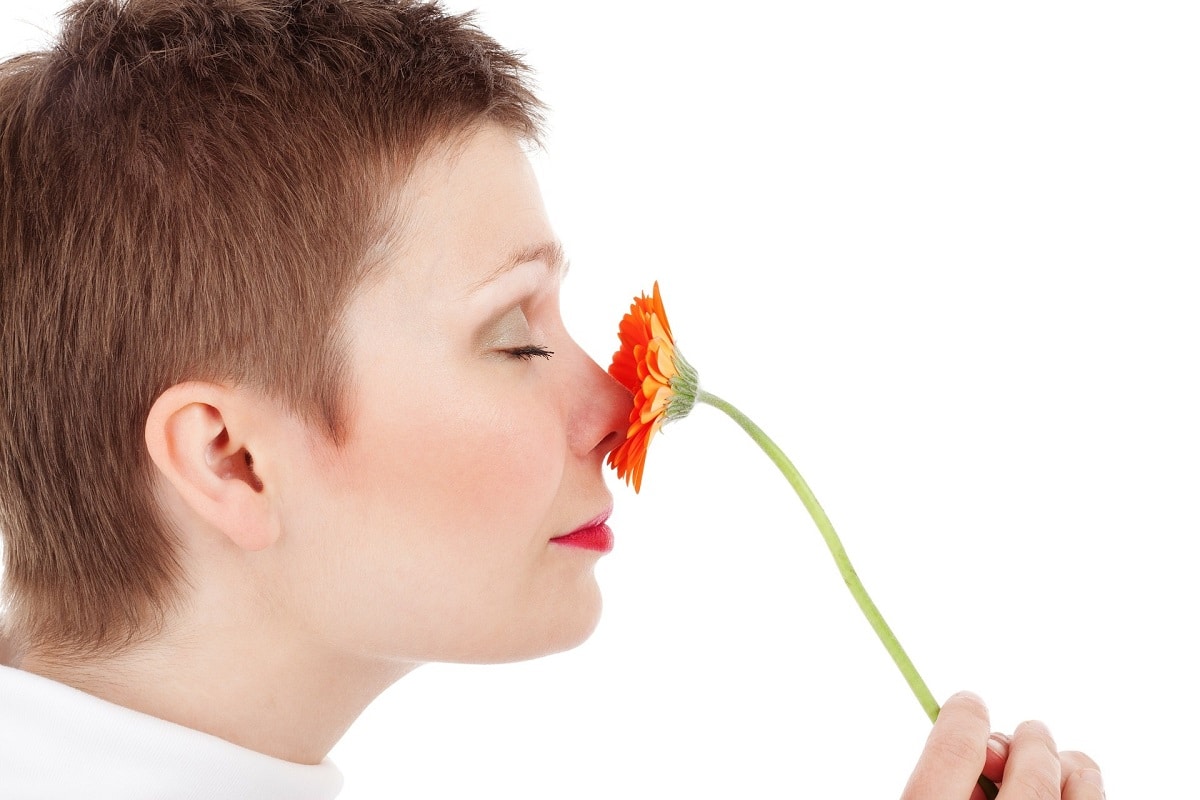 Nasenkorrektur Operation Zweck Ablauf und Risiken einer Rhinoplastik