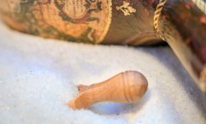 Salztherapie: Wie es die Atmung, die Haut und das Immunsystem stärkt