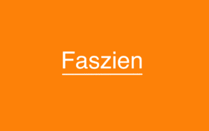 was_sind_faszien_funktion_arten_wissen