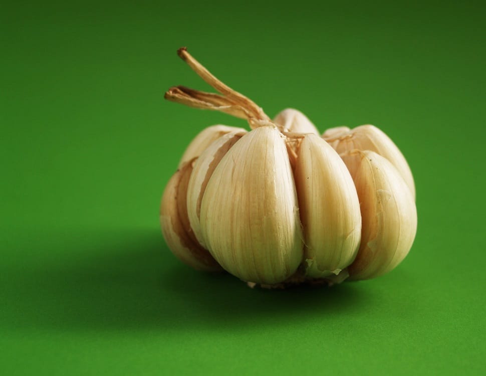 knoblauch_hausmittel_gegen_knoblauch