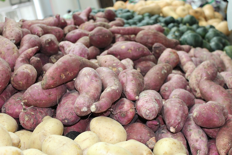 suesskartoffel_bekannteste_yams_art » Medizin - Fitness - Ernährung