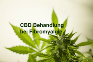 CBD bei Fibromyalgie: Wirkung von Cannabidiol auf die Behandlung von FMS