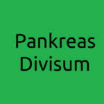 pankreas-divisum-behandlung-symptome-bauchspeicheldruese