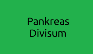 pankreas-divisum-behandlung-symptome-bauchspeicheldruese