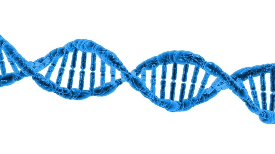 Genetische Ursachen von Parkinson in der DNA