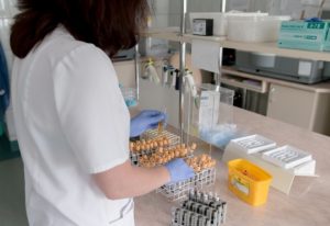 Hepatitis E: Symtpome, Ursachen und Behandlung