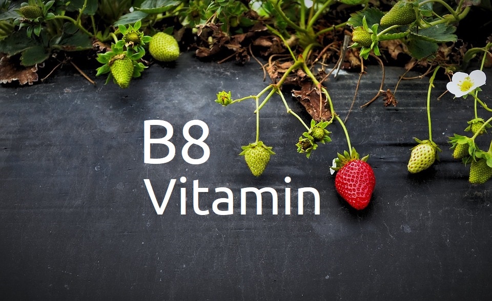 Vorteile von Vitamin B8 und Lebensmittel mit Inositol