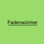 Was sind Fadenwürmer?