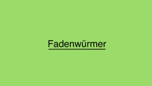 Was sind Fadenwürmer?
