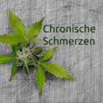 CBD gegen chronische Schmerzen