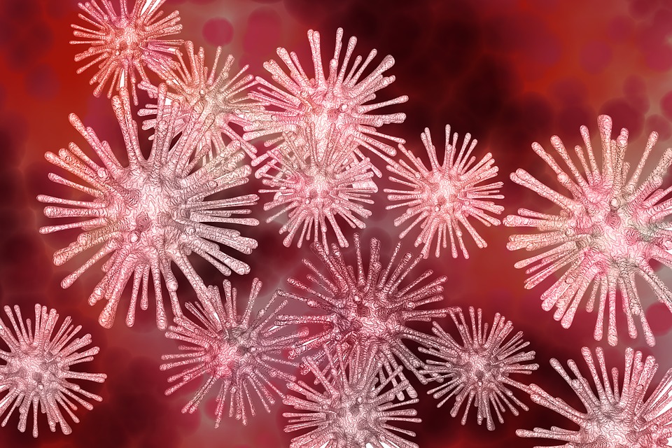3 Typen von Influenza-Viren: A, B und C