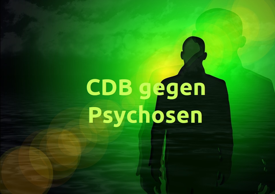 CBD gegen Psychosen