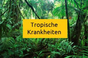 Tropenkrankheiten-tropische-krankheiten