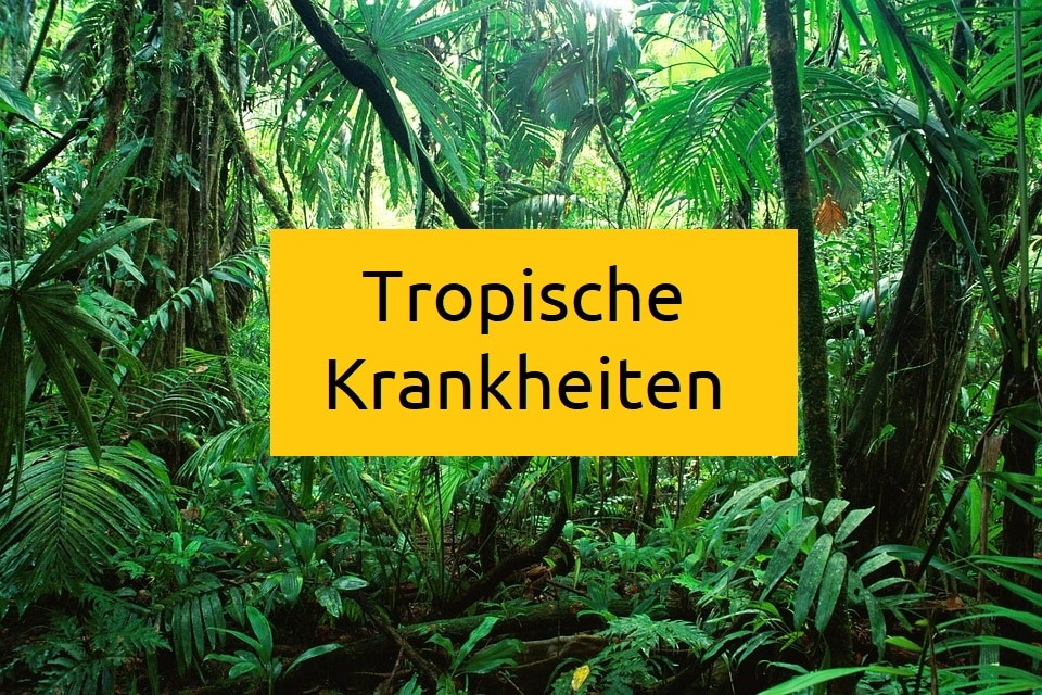 Tropenkrankheiten-tropische-krankheiten