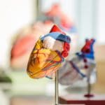 Achtung Herzinfarkt - Ignorieren Sie niemals diese 11 Symptome des Herzens