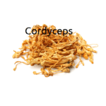 Cordyceps - Vorteile und Wirkung der Heilpilze