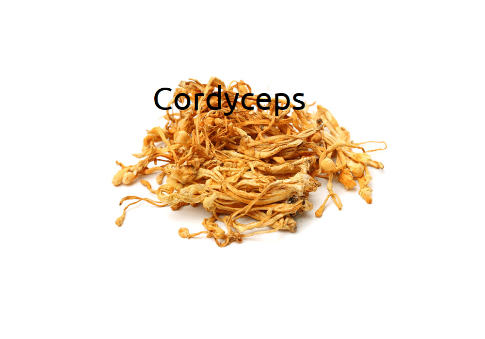 Cordyceps - Vorteile und Wirkung der Heilpilze