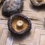 Shiitake-Pilz - Vorteile und Heilwirkungen