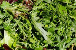 Wirkung von Rucola: 10 Vorteile für Herz, Darm und Gesundheit