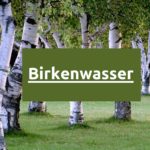 Was ist Birkenwasser? - Vorteile von Birkensaft für die Gesundheit