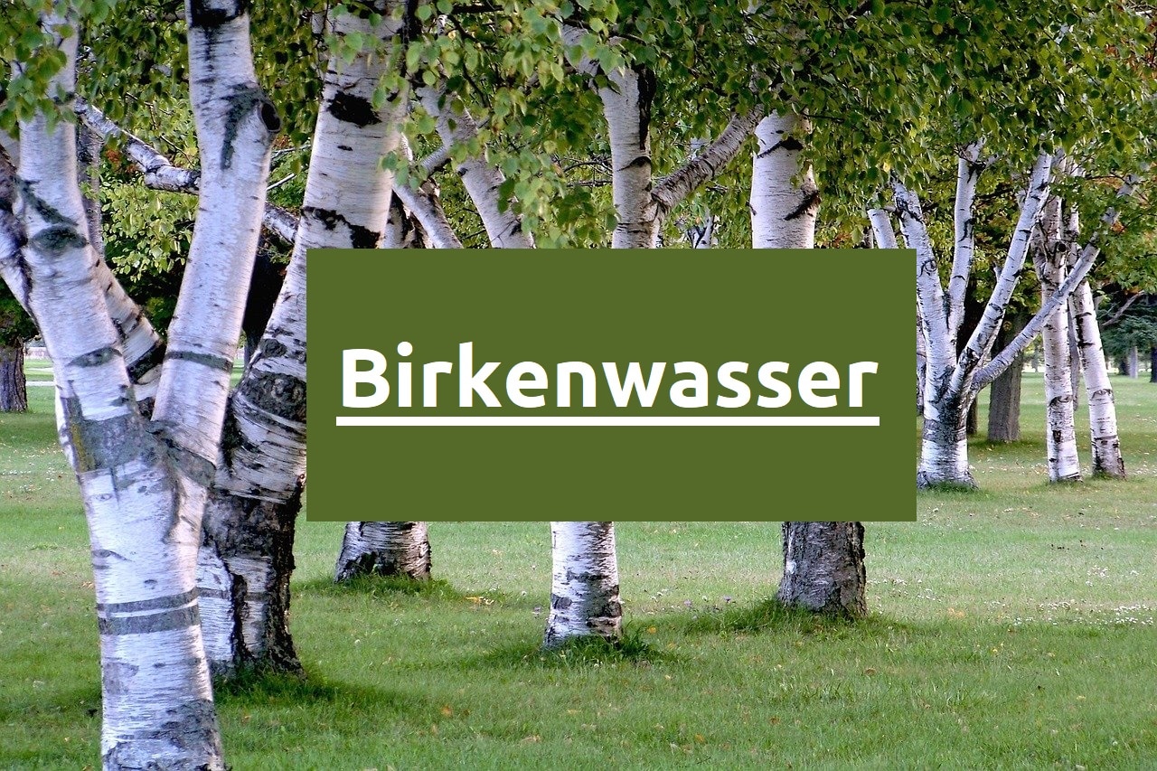 Was ist Birkenwasser? - Vorteile von Birkensaft für die Gesundheit