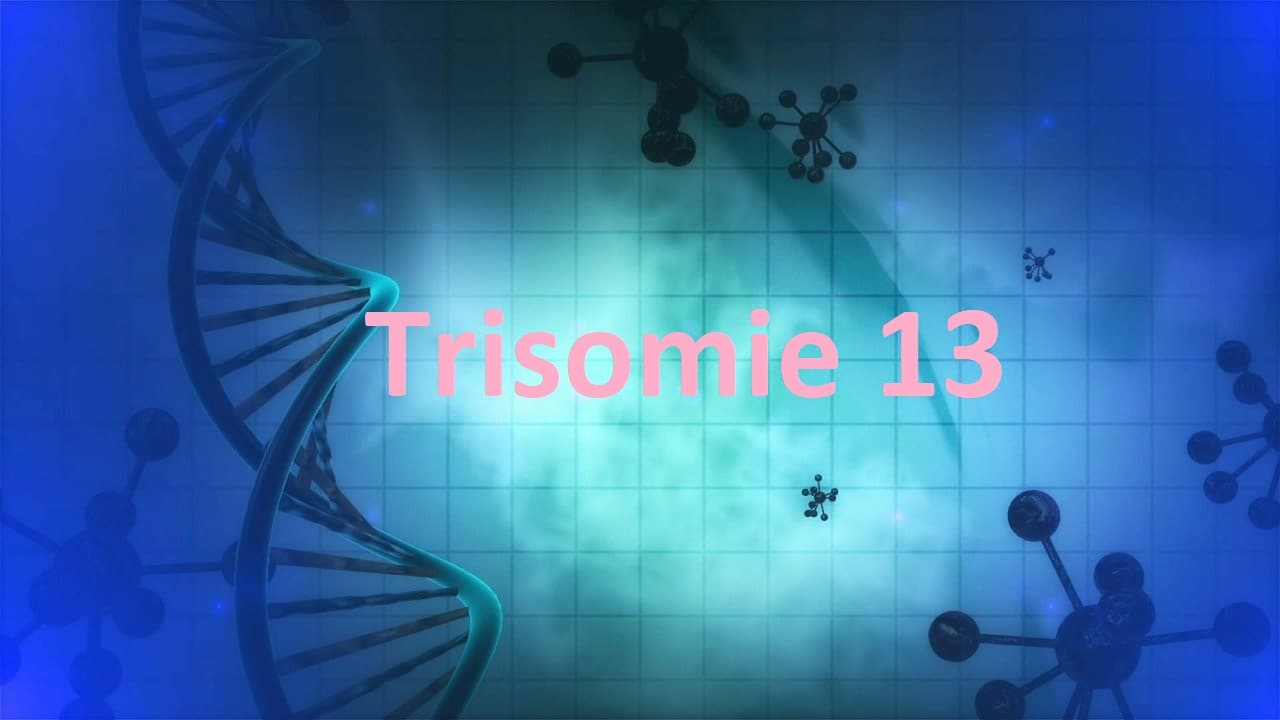 Trisomie 13 Patau Syndrom