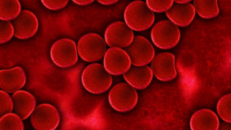 Wie Schnell Bildet Sich Blut Nach Blutabnahme