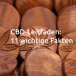 CBD-Leitfaden: 11 wichtige Fakten