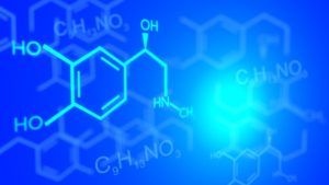 Katecholamine und Stressreaktion: Was Sie wissen müssen