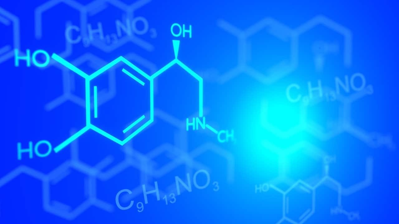 Katecholamine und Stressreaktion: Was Sie wissen müssen