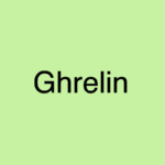 Ghrelin - Das Hungerhormon erklärt