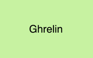 Ghrelin - Das Hungerhormon erklärt