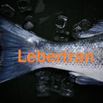 Lebertran - Darum ist das Fischöl so gesund