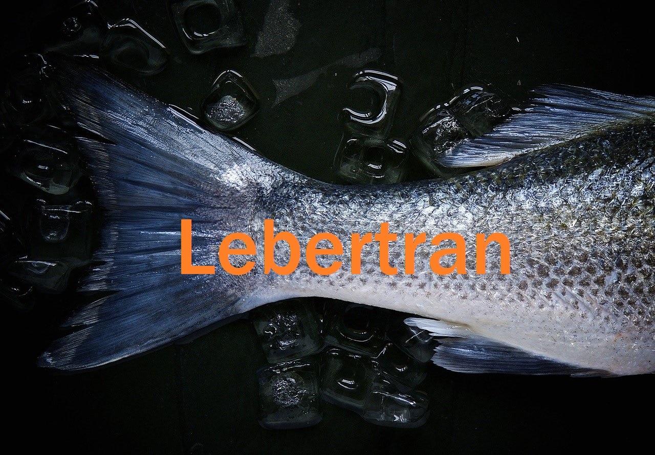 Lebertran - Darum ist das Fischöl so gesund