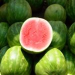 Citrullus lanatus Wassermelone Wirkung Vorteile Gesundheit