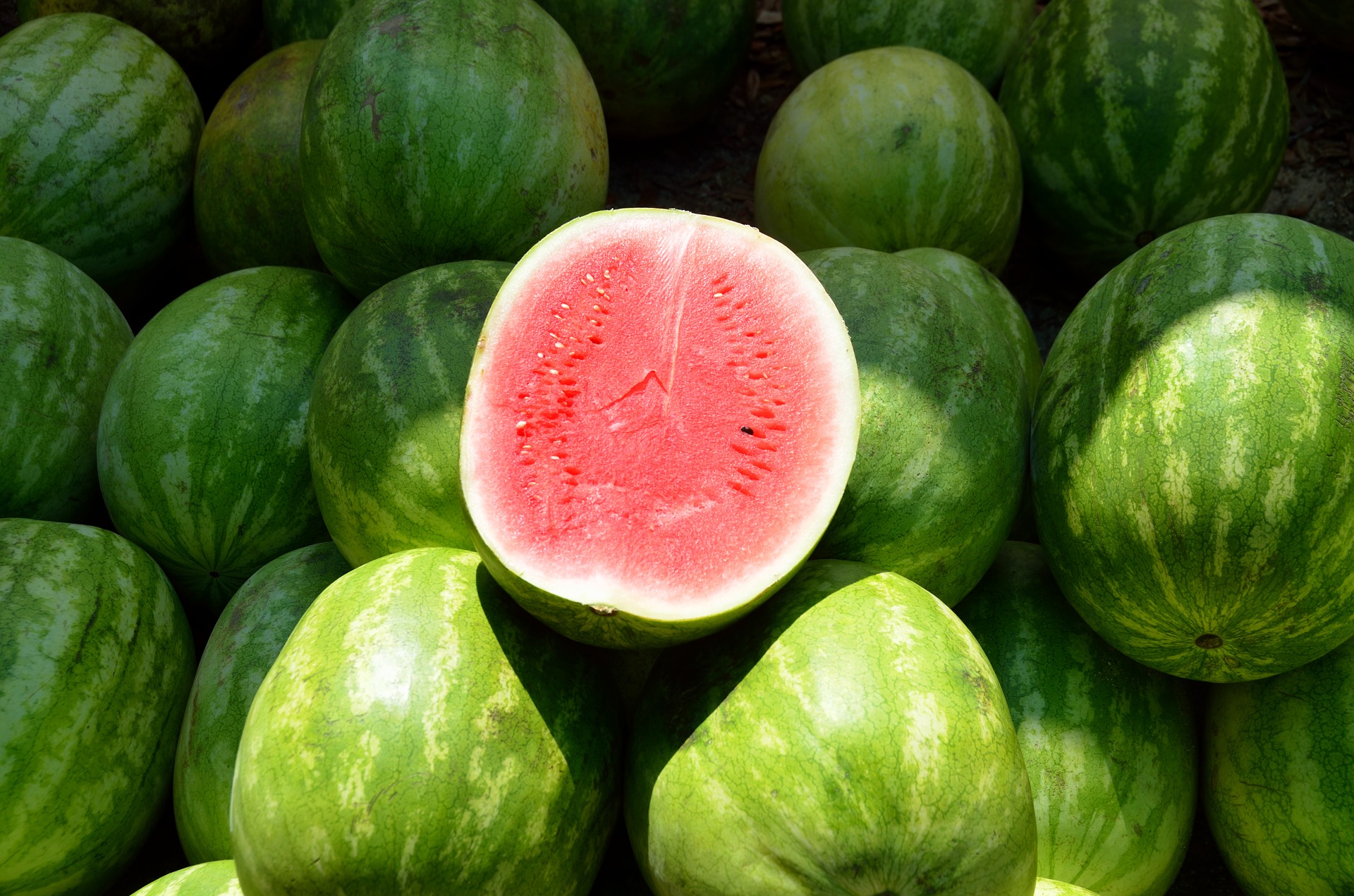 Citrullus lanatus Wassermelone Wirkung Vorteile Gesundheit