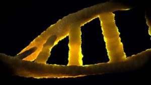Trisomie 16 - Ursachen und Formen des Syndroms