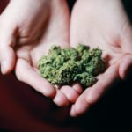 Medizinisches Marihuana – Vorteile der alternativen Behandlungsmethode