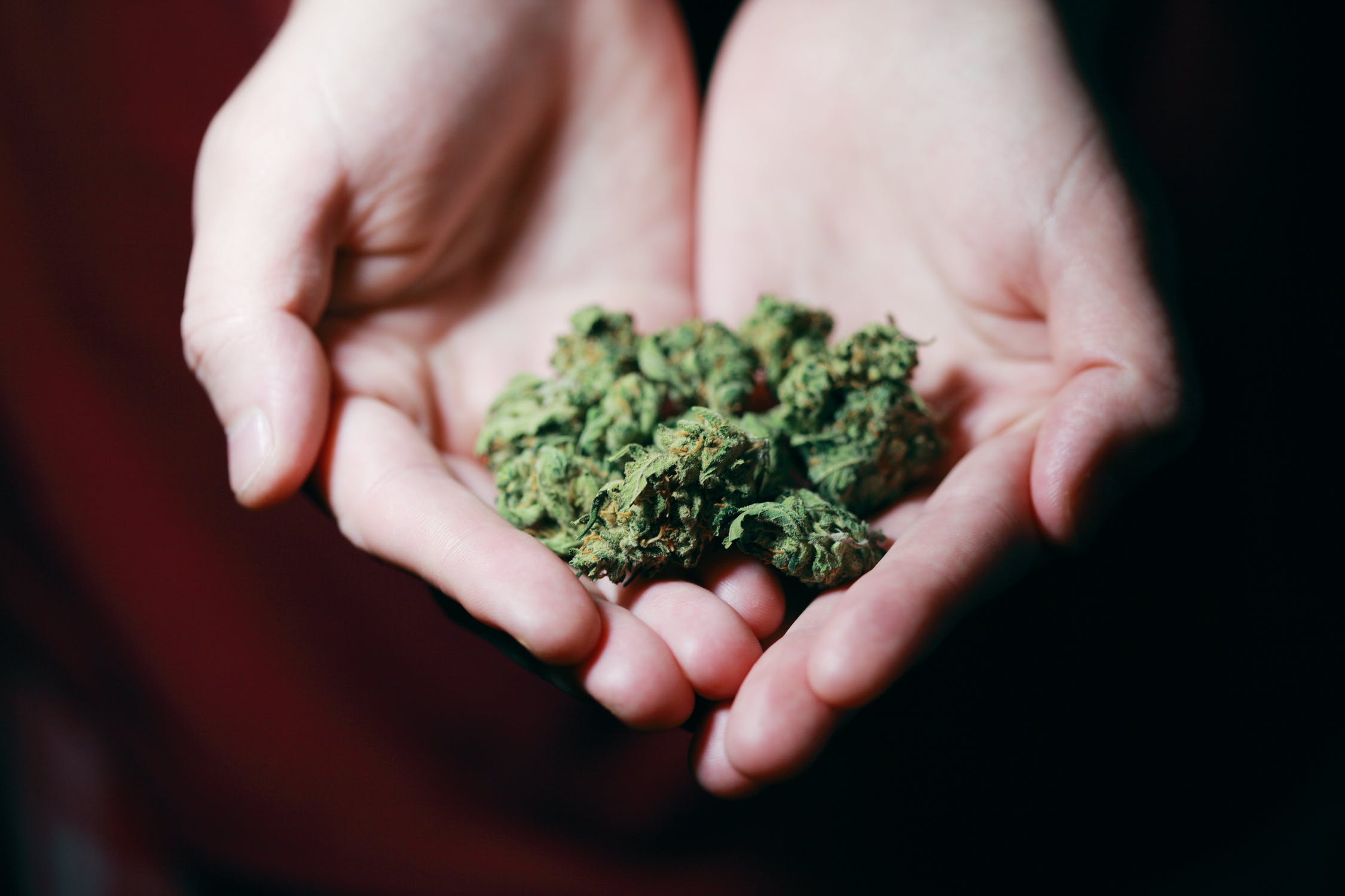 Medizinisches Marihuana – Vorteile der alternativen Behandlungsmethode