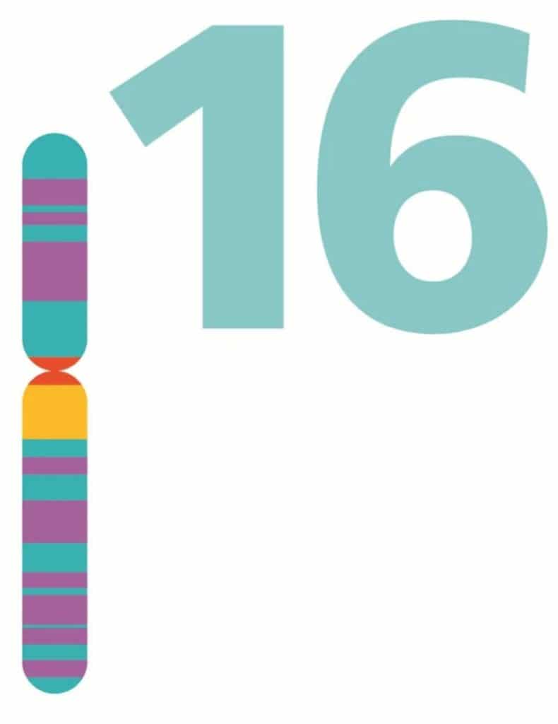 chromosom16 » Medizin - Fitness - Ernährung