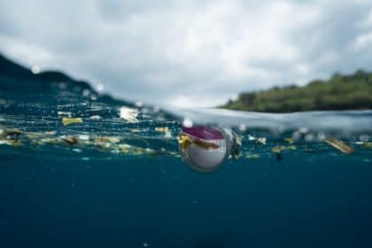 Studie: Mikroplastik im menschlichen Blut nachgewiesen