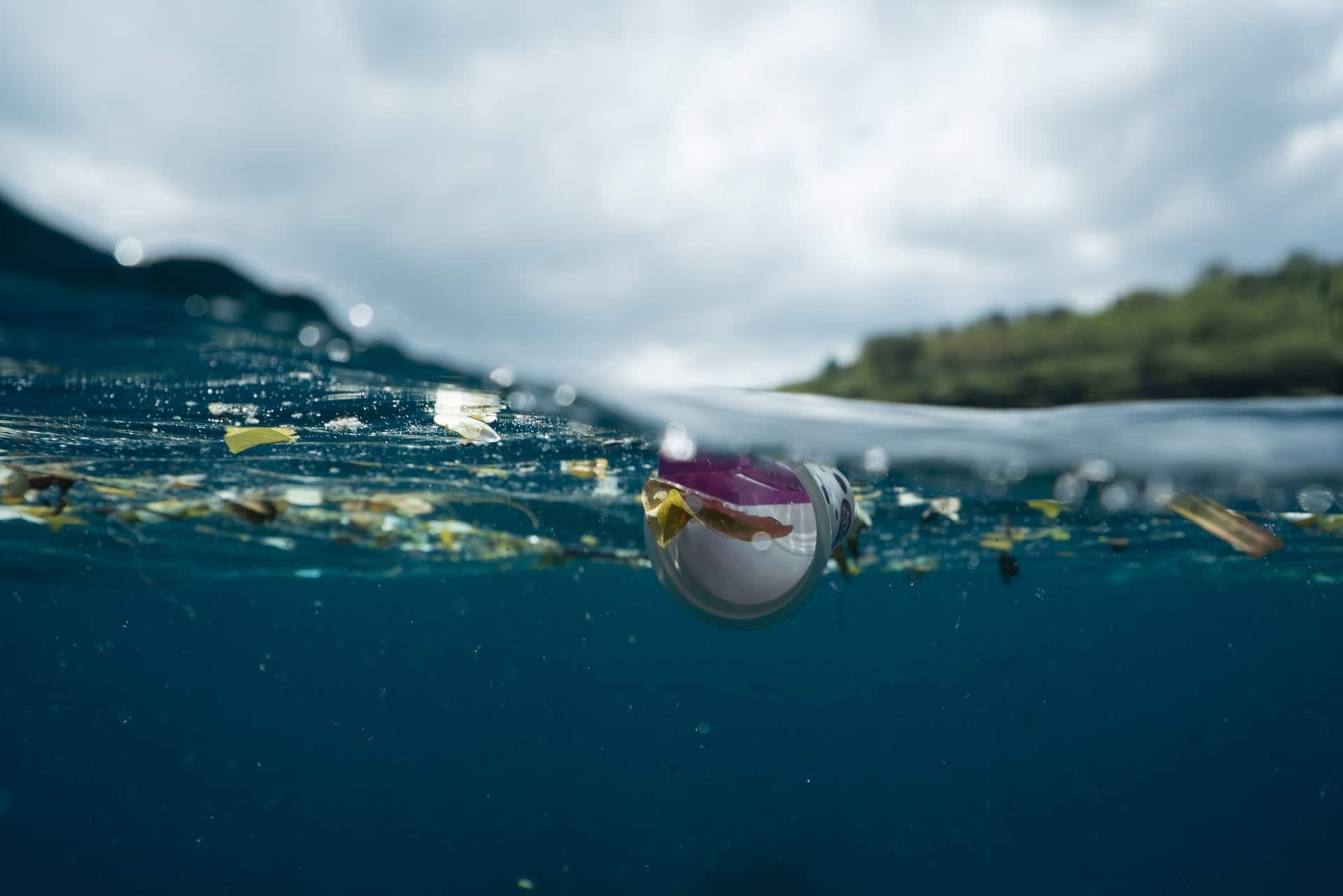 Studie: Mikroplastik im menschlichen Blut nachgewiesen