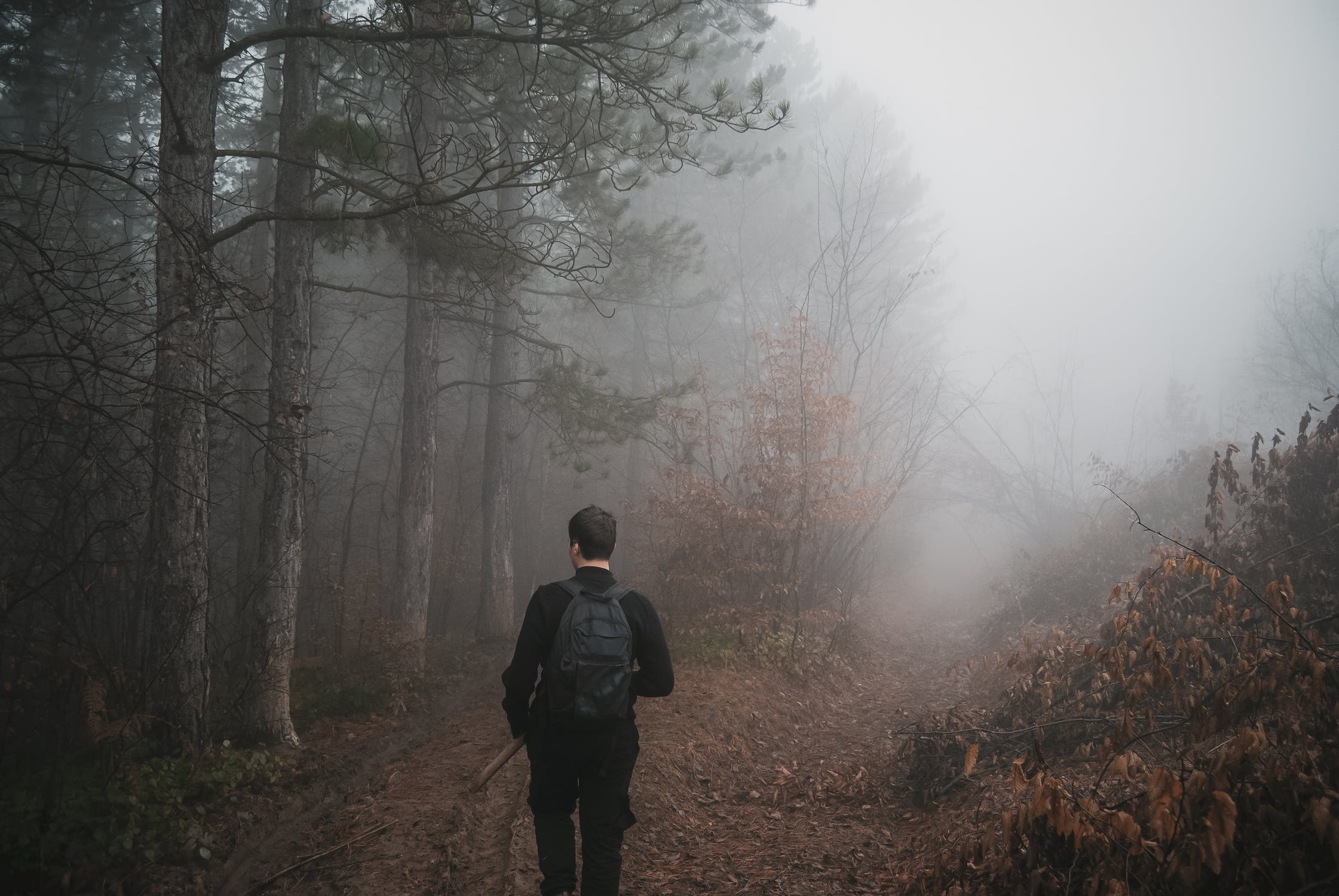 Waldgeräusche steigern das Wohlbefinden