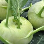 Kohlrabi: Ein krankheitsbekämpfendes, phytochemisches Kraftpaket