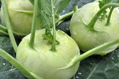 Kohlrabi: Ein krankheitsbekämpfendes, phytochemisches Kraftpaket