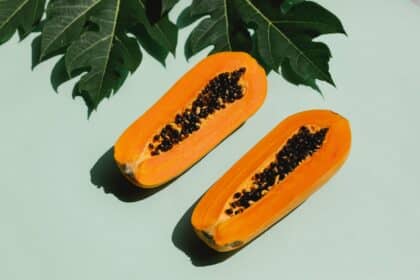 Papaya – Vorteile für die Gesundheit – Nährwerte